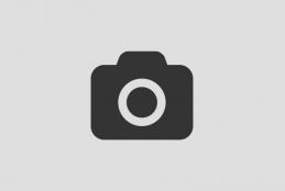 Phosfluore e-enable adaptive synergy for strategic quality vectors